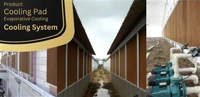 Kā lopkopības fani var veicināt selekcijas nozares attīstību